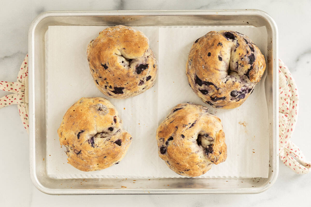 Bagel ai mirtilli luminosi per soddisfare anche i palati più esigenti