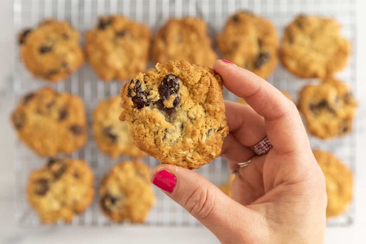 I biscotti con gocce di cioccolato di cui non sapevi di aver bisogno