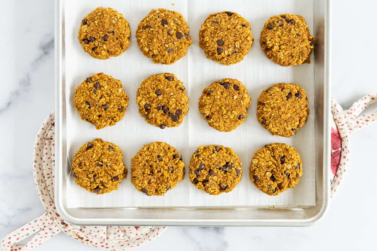 Biscotti gommosi di farina d'avena e zucca