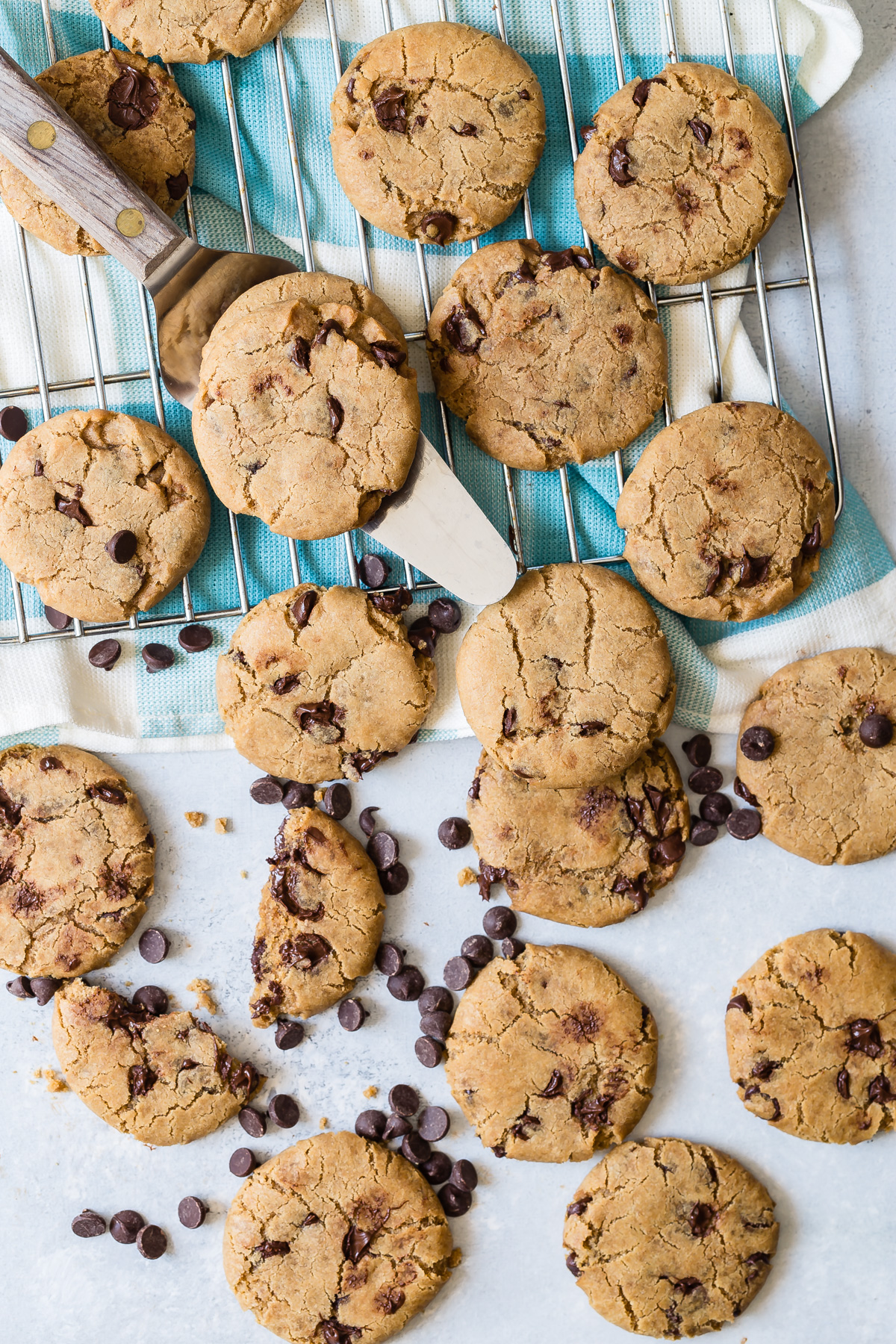 Biscotti vegani con gocce di cioccolato facilissimi