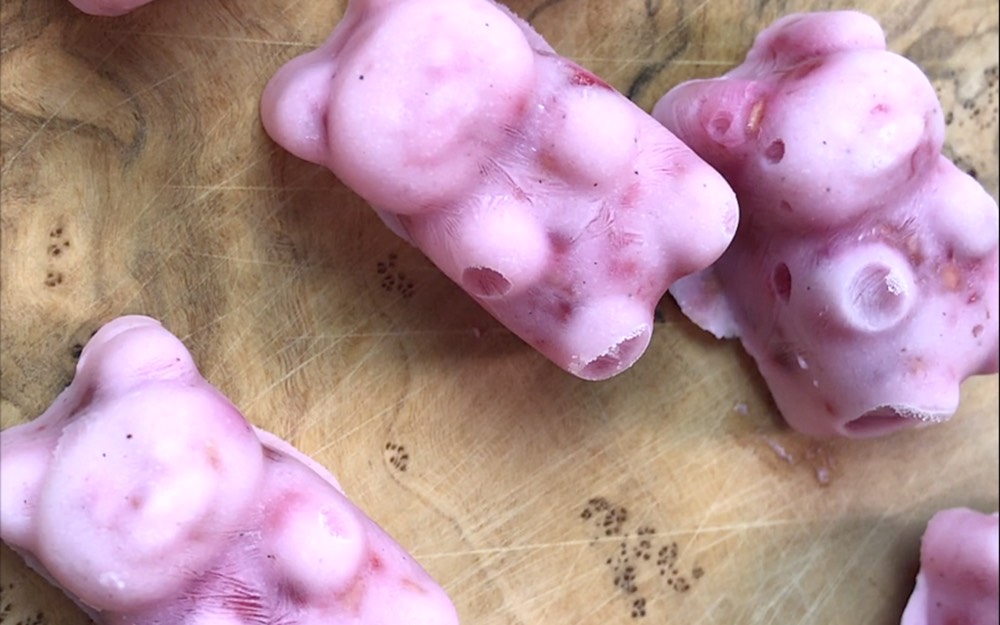 Bocconcini di frutta allo yogurt gelato