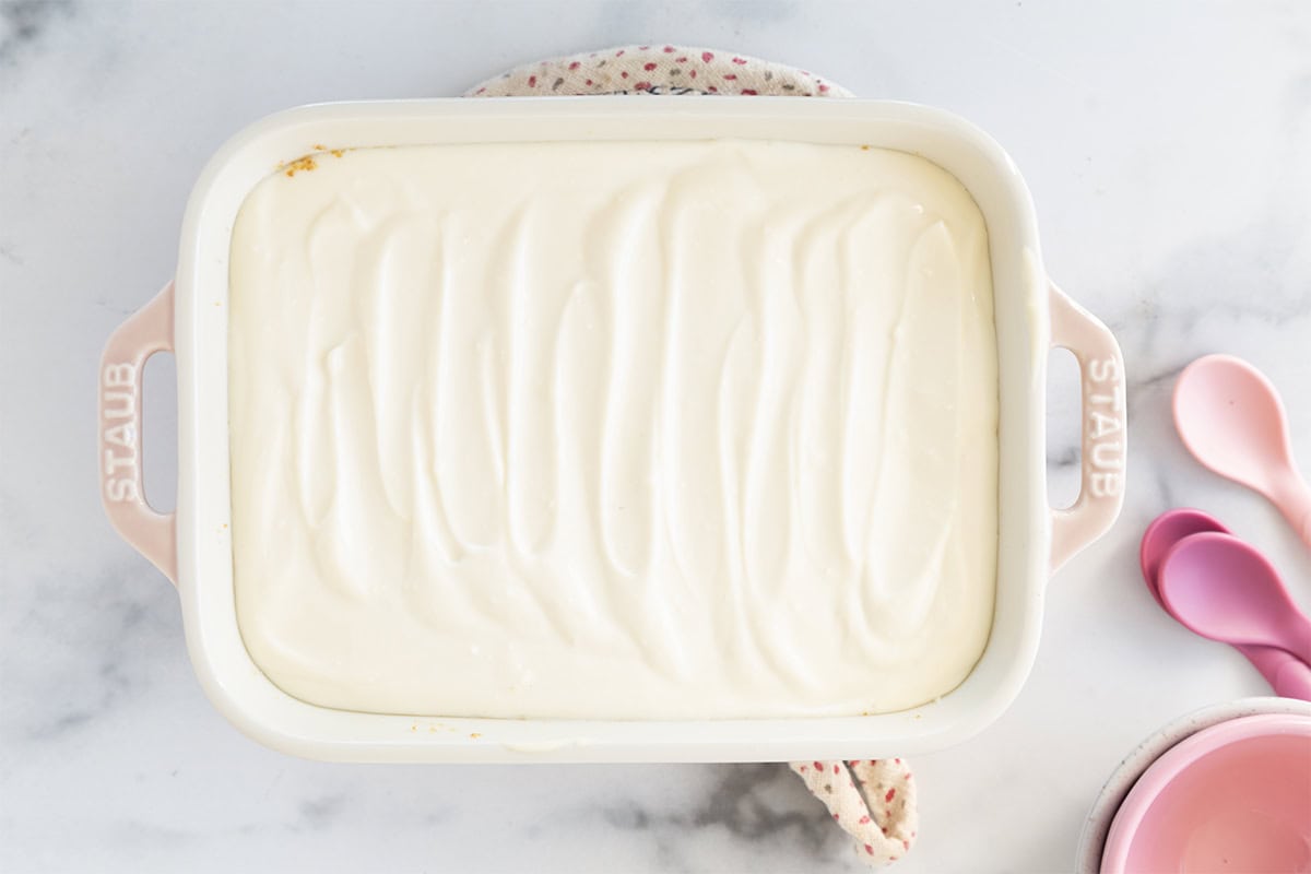 Cheesecake allo yogurt greco (senza cottura)