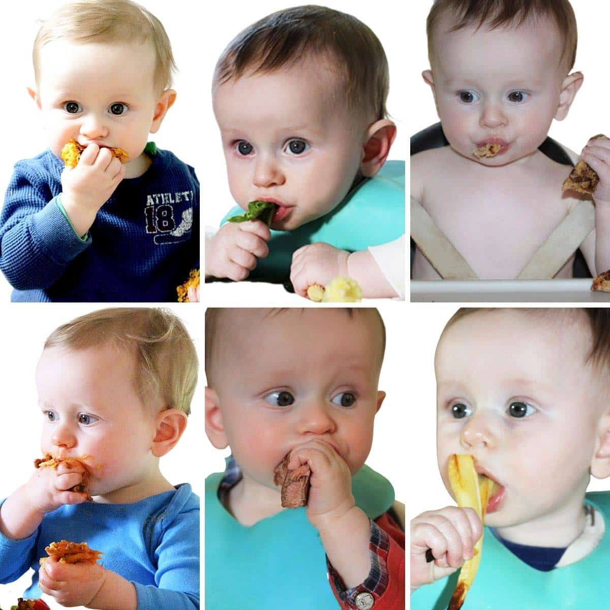 Guida allo svezzamento guidato dal bambino e primi alimenti