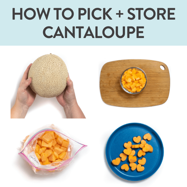 Come raccogliere, conservare e congelare un melone (guida completa)