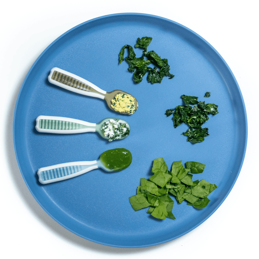 Omogeneizzato con spinaci (purea e svezzamento guidato dal bambino) (purea o svezzamento guidato dal bambino)