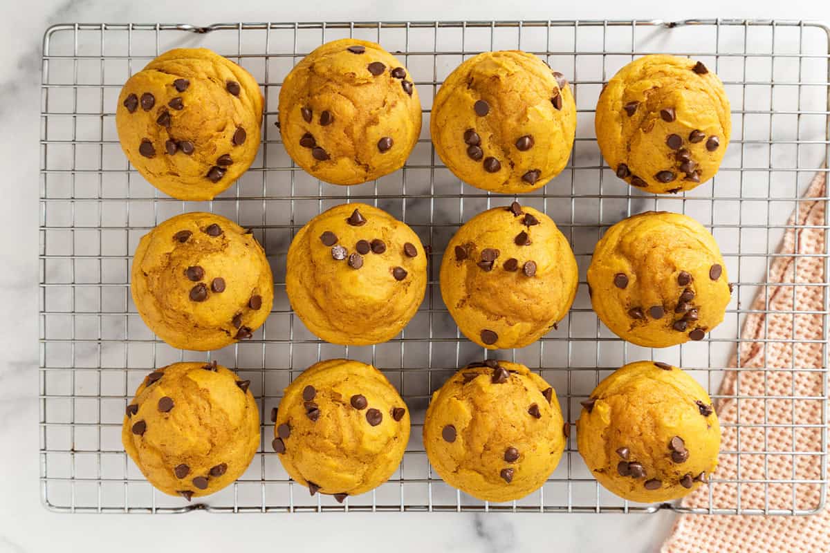 Muffin Proteici Alla Zucca