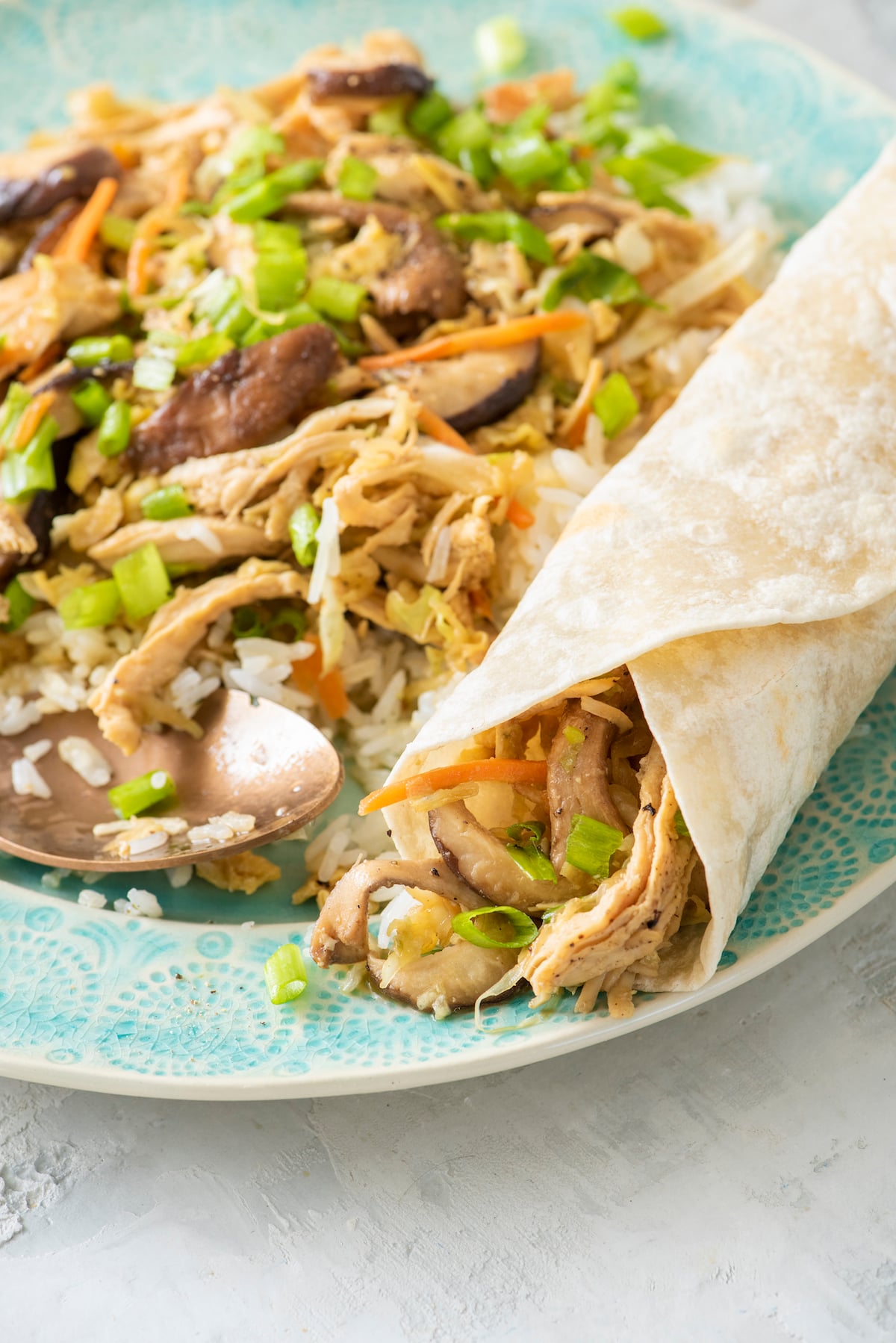 Pollo Mu Shu