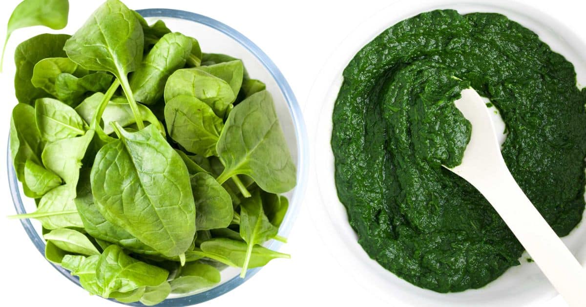 Purea di spinaci fatta in casa (adatta ai bambini e alle famiglie).