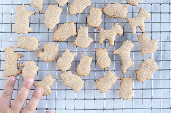 La ricetta più semplice per i cracker animali