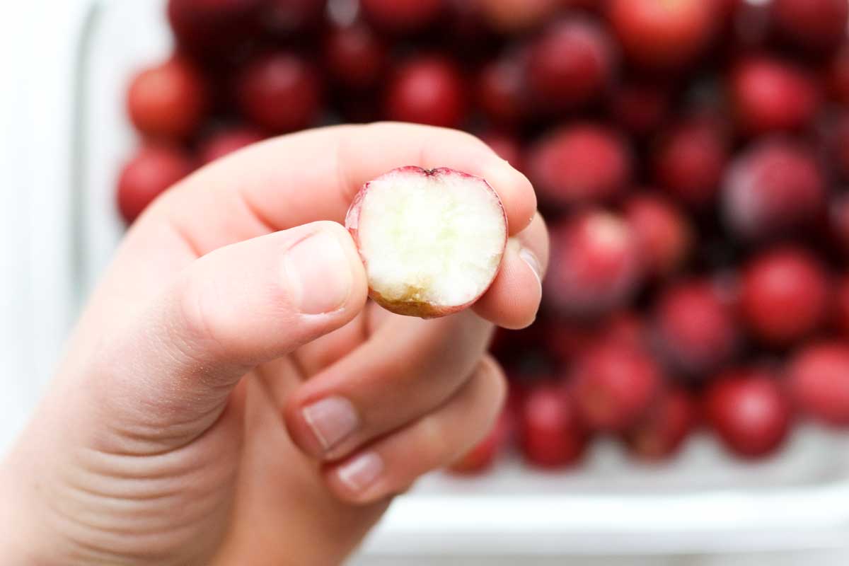 Lo snack congelato più semplice di sempre!